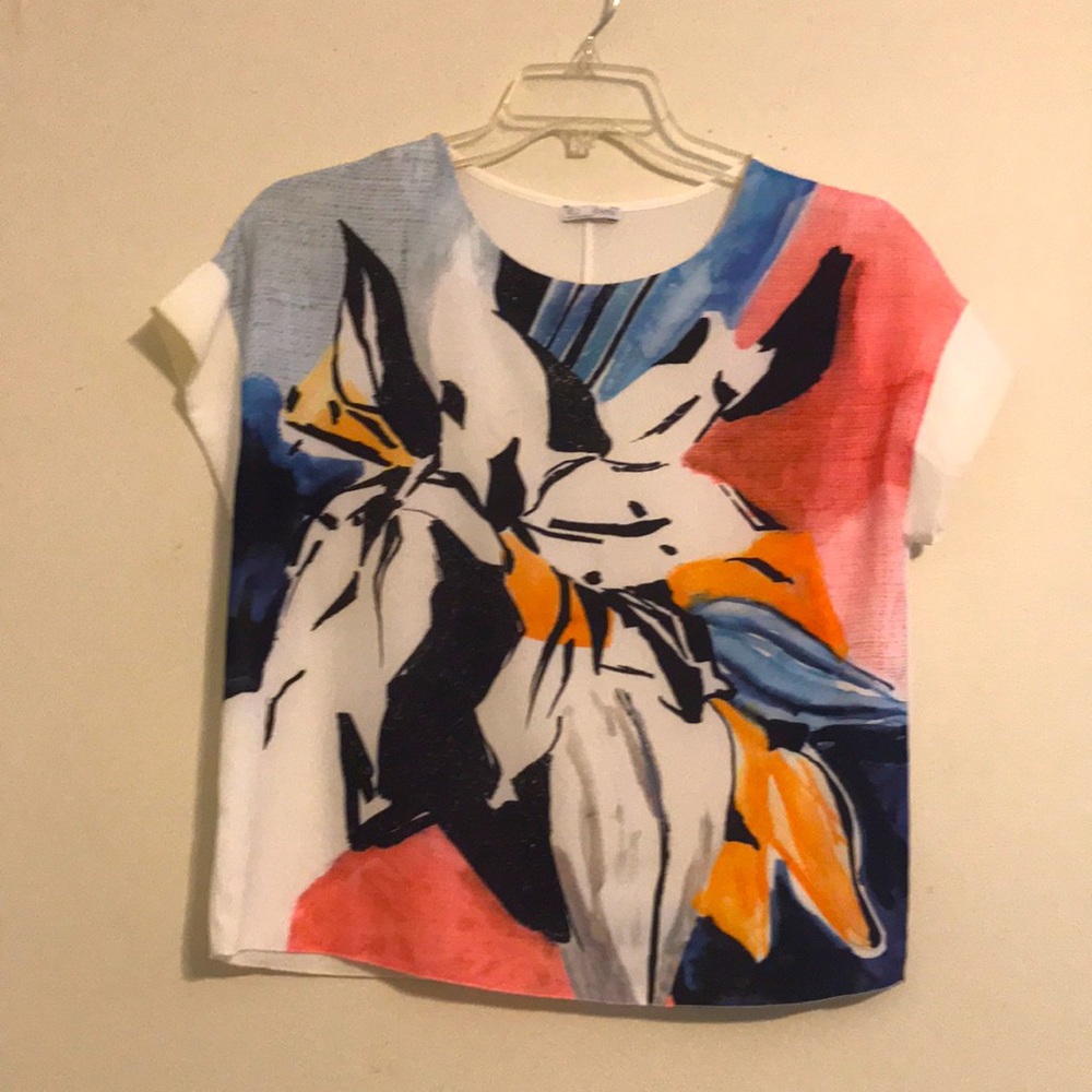 Zara floral artistic patterned top